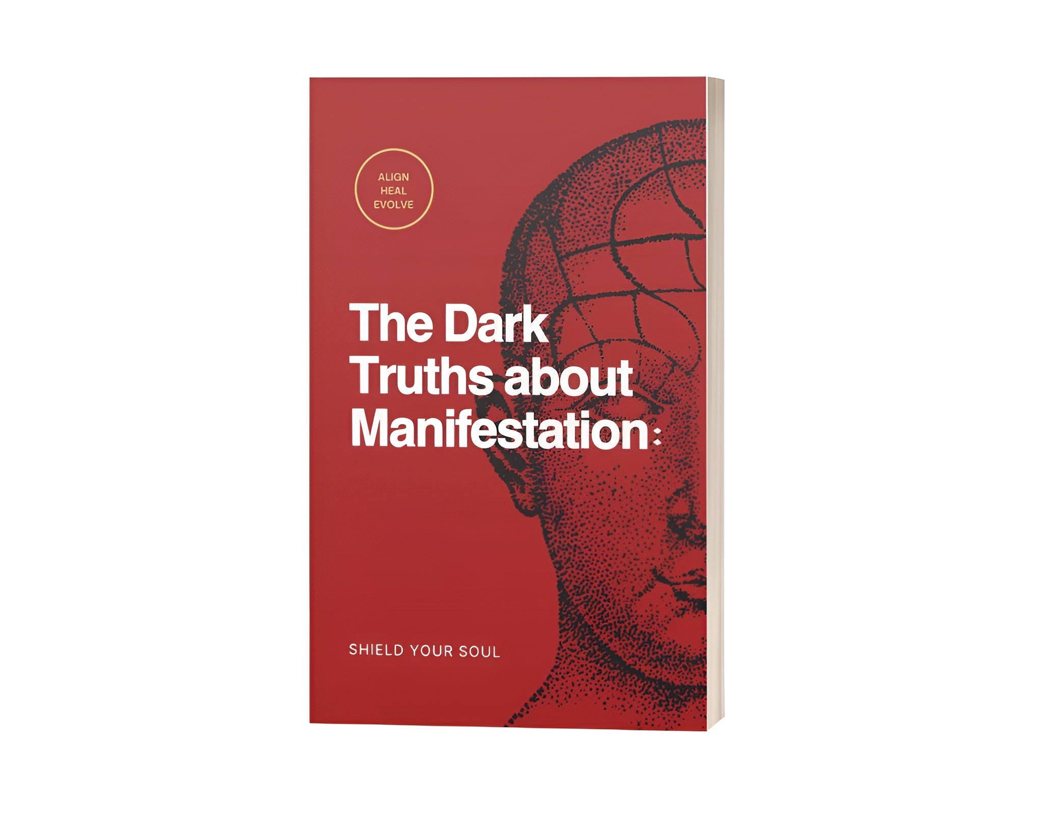Shield Your Soul: The Dark Truths About Manifestation